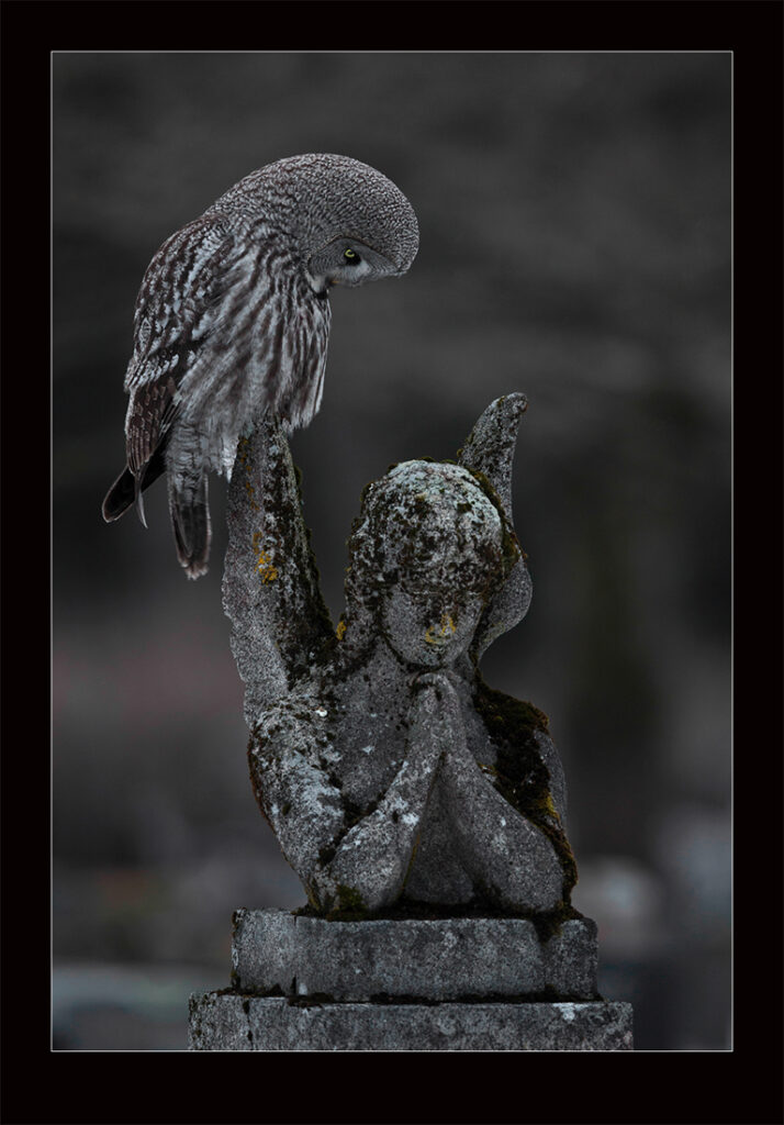 rukoushetki 1100 b edge