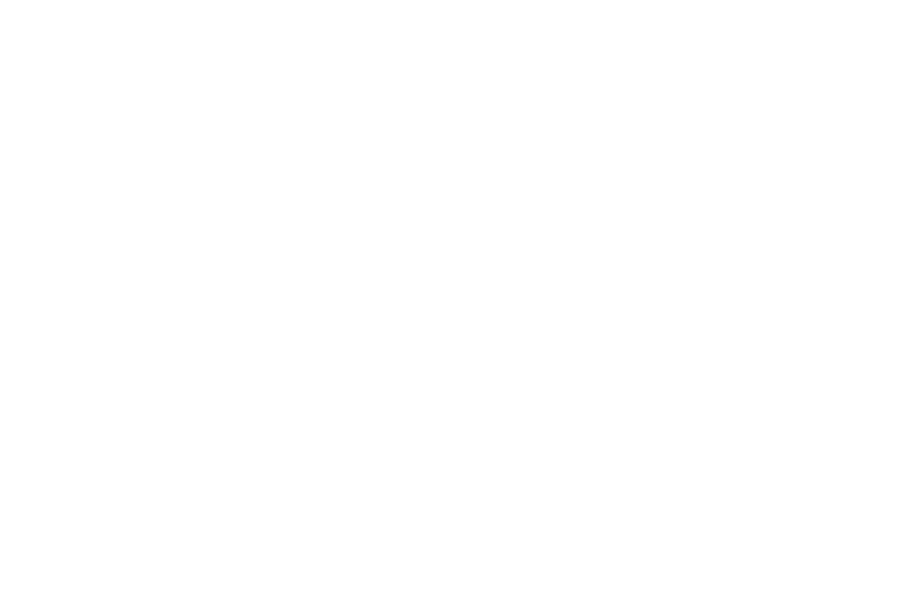 stillness gallery logo nega